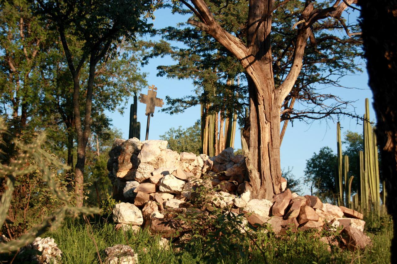 Ghaub Nature Reserve & Farm - One Namibia Grootfontein Exterior photo
